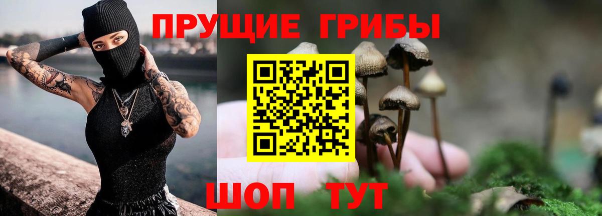 Псилоцибиновые грибы мицелий Тобольск